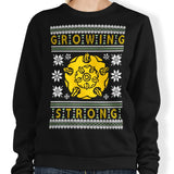 Clearance - Sweatshirt - Size Medium