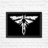 The Lost Light - Posters & Prints