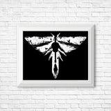 The Lost Light - Posters & Prints