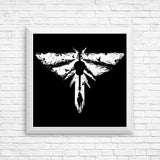 The Lost Light - Posters & Prints