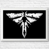 The Lost Light - Posters & Prints