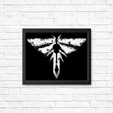 The Lost Light - Posters & Prints