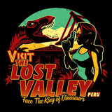 The Lost Valley - Coasters