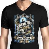 The Luck Dragon - Men's V-Neck