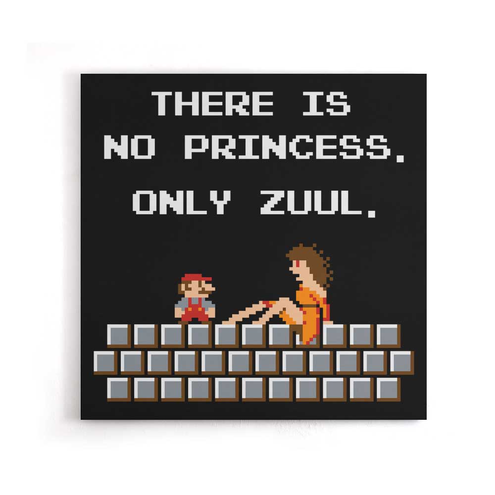 There is No Princess - Canvas Print