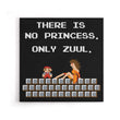 There is No Princess - Canvas Print