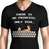 There is No Princess - Men's V-Neck
