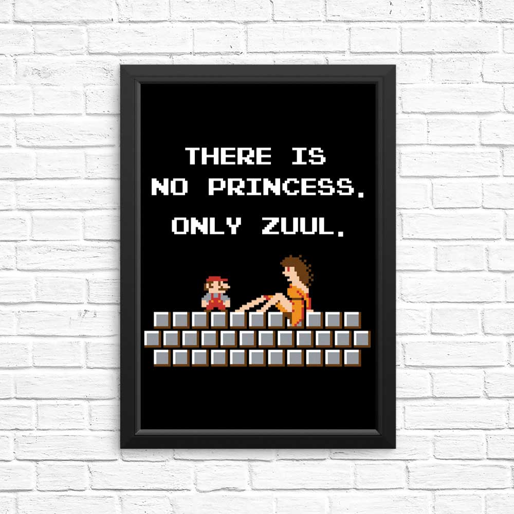 There is No Princess - Posters & Prints