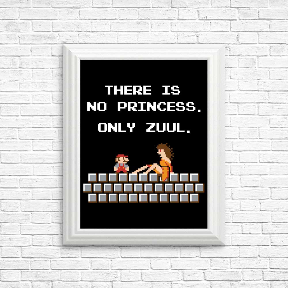 There is No Princess - Posters & Prints