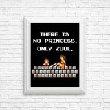 There is No Princess - Posters & Prints