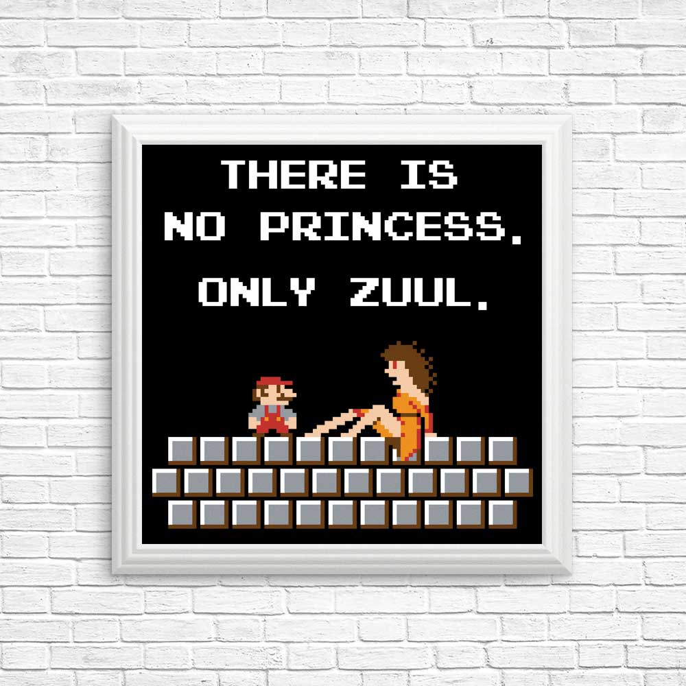 There is No Princess - Posters & Prints