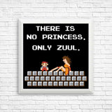 There is No Princess - Posters & Prints