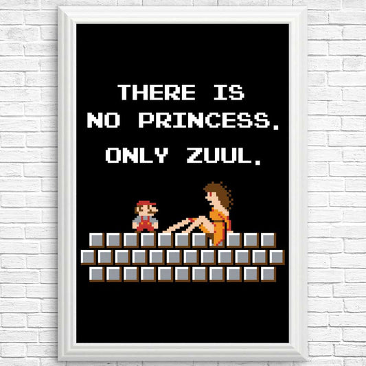 There is No Princess - Posters & Prints