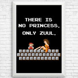 There is No Princess - Posters & Prints