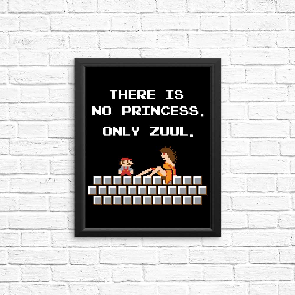 There is No Princess - Posters & Prints