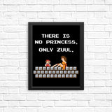 There is No Princess - Posters & Prints