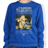 Trainers and Dragons - Sweatshirt