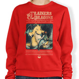 Trainers and Dragons - Sweatshirt
