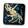 Triceratops Fossils - Coasters