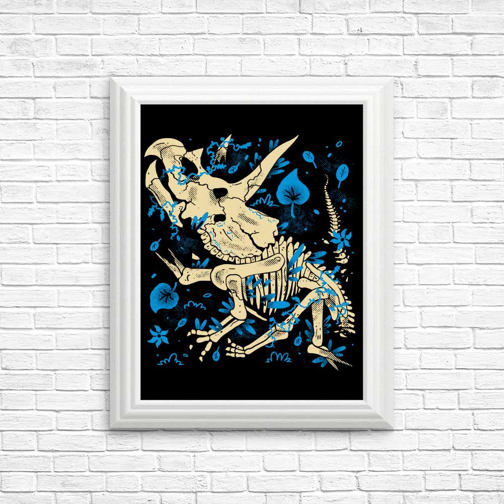 Triceratops Fossils - Posters & Prints