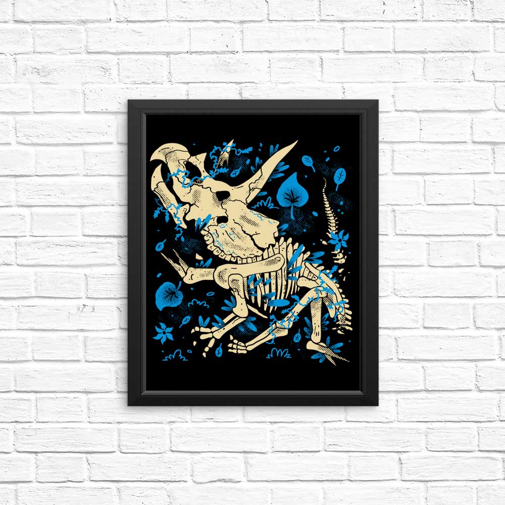 Triceratops Fossils - Posters & Prints