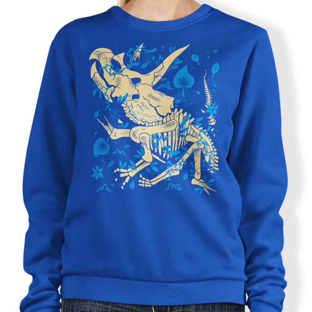 Triceratops Fossils - Sweatshirt
