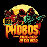 Visit Phobos - Coasters