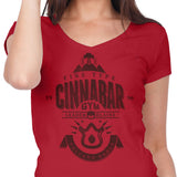 Volcano Badge - Women's V-Neck