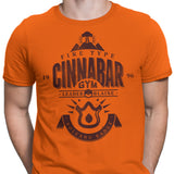 Volcano Badge - Men's Apparel