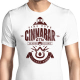 Volcano Badge - Men's Apparel