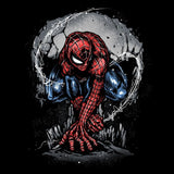 Web Swing and Punishment - Long Sleeve T-Shirt