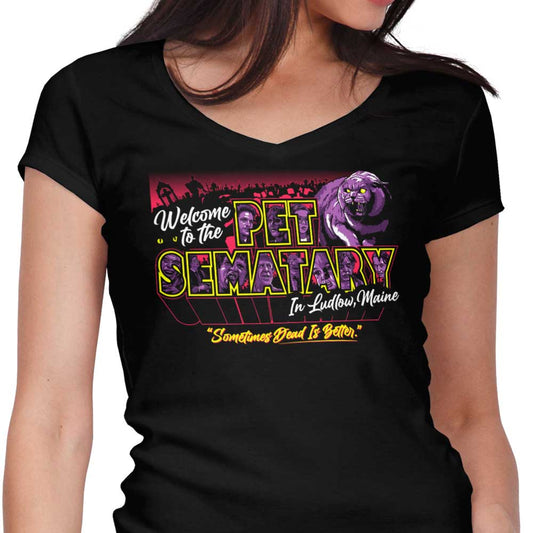 Welcome to Ludlow - Women's V-Neck