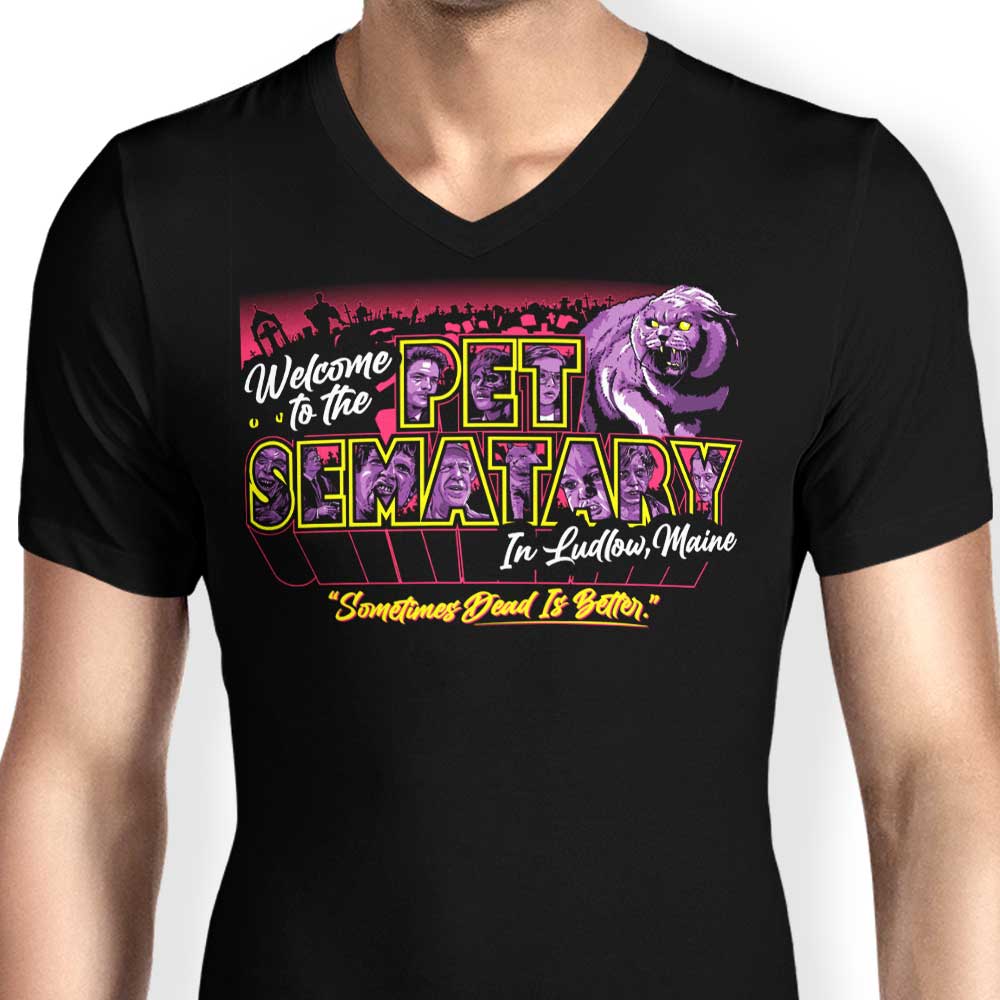 Welcome to Ludlow - Men's V-Neck