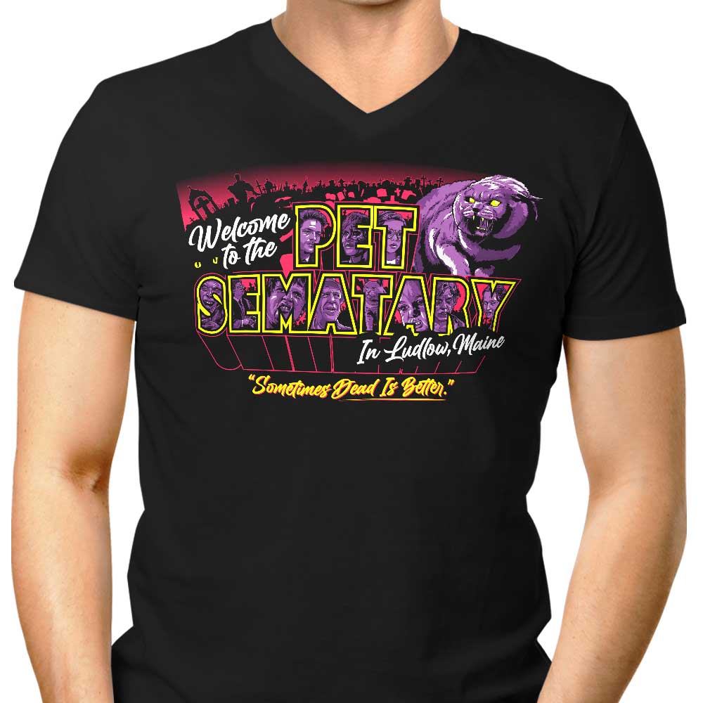 Welcome to Ludlow - Men's V-Neck