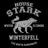 Winter is Coming - Men's V-Neck