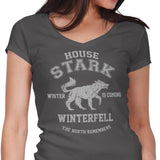Winter is Coming - Women's V-Neck