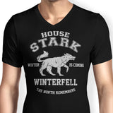 Winter is Coming - Men's V-Neck