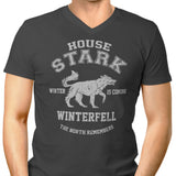 Winter is Coming - Men's V-Neck