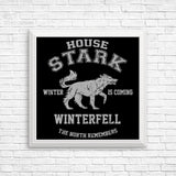 Winter is Coming - Posters & Prints