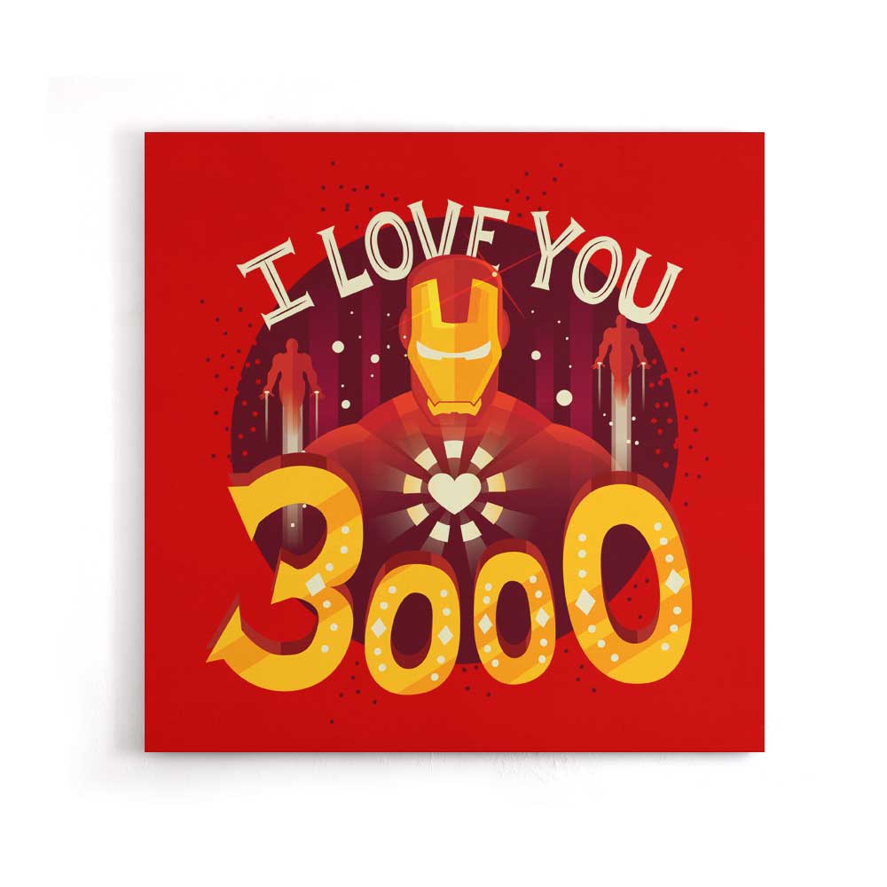 3000 - Canvas Print