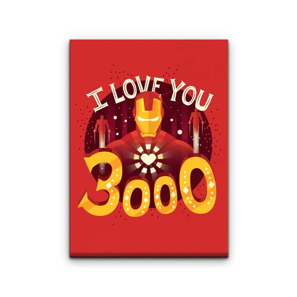 3000 - Canvas Print