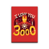 3000 - Canvas Print