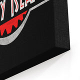 Amity Park - Canvas Print