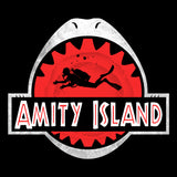 Amity Park - Coasters