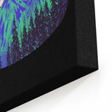 Aurora Meowalis - Canvas Print