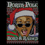 Born and Raised - Poster