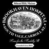 Brookhaven Hospital - Throw Pillow