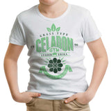 Celadon City Gym - Youth Apparel