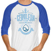 Cerulean City Gym - 3/4 Sleeve Raglan T-Shirt