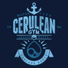 Cerulean City Gym - 3/4 Sleeve Raglan T-Shirt